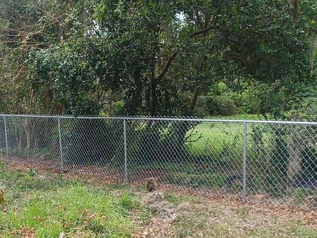 A galvanised chain link fence with top rail and gate enclosing a wooded Florida lot